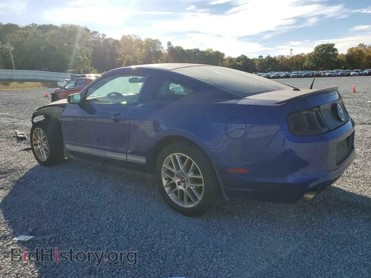 2013 FORD ALL Models - VIN: 1ZVBP8AM9D5215287 - Фото 2