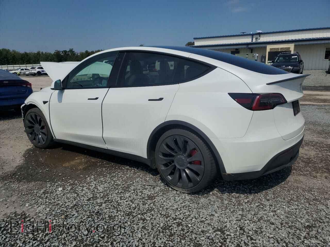 2022 TESLA MODEL Y - VIN: 7SAYGDEF3NF524130 - Фото 2