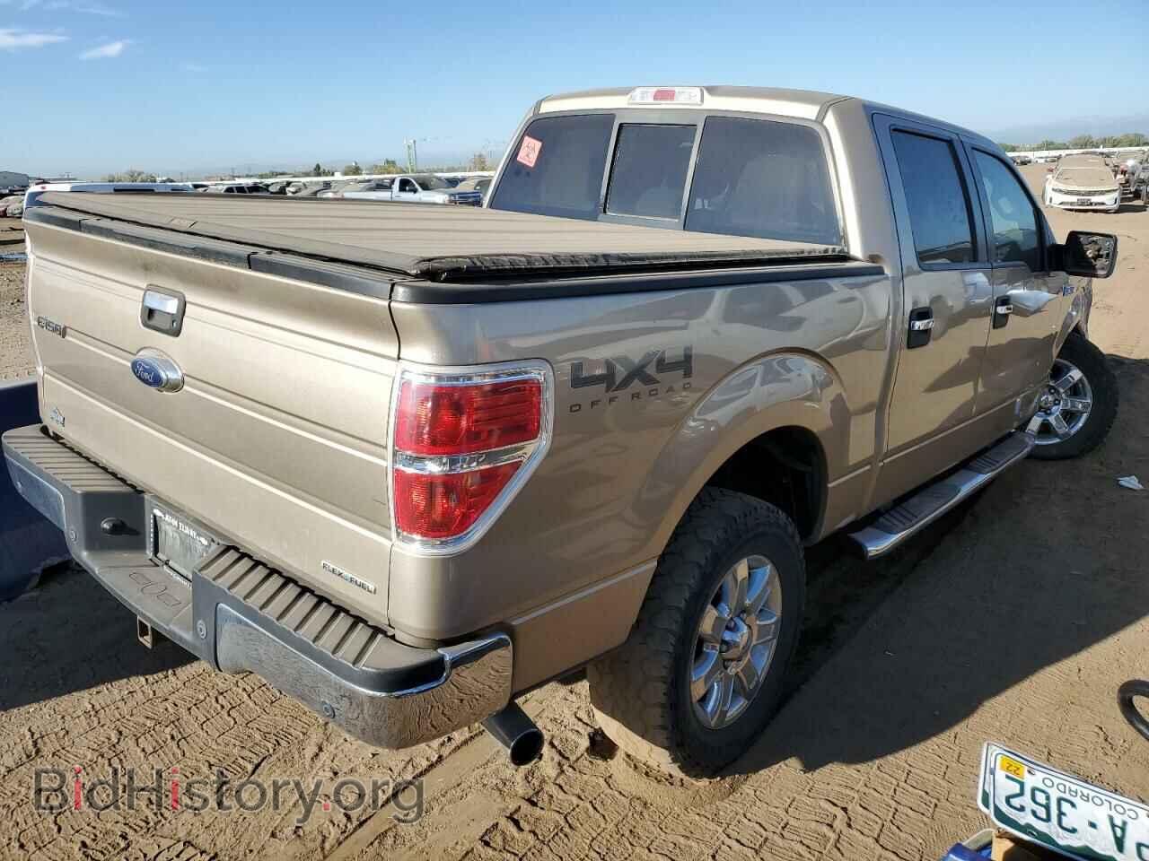 2013 FORD F-150 - VIN: 1FTFW1EFXDFB09774 - Фото 3