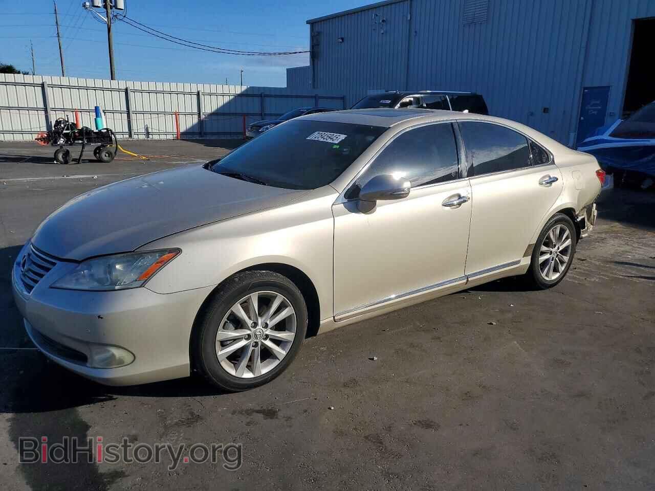 Фотография JTHBK1EG6A2380772 - LEXUS ES350 2010