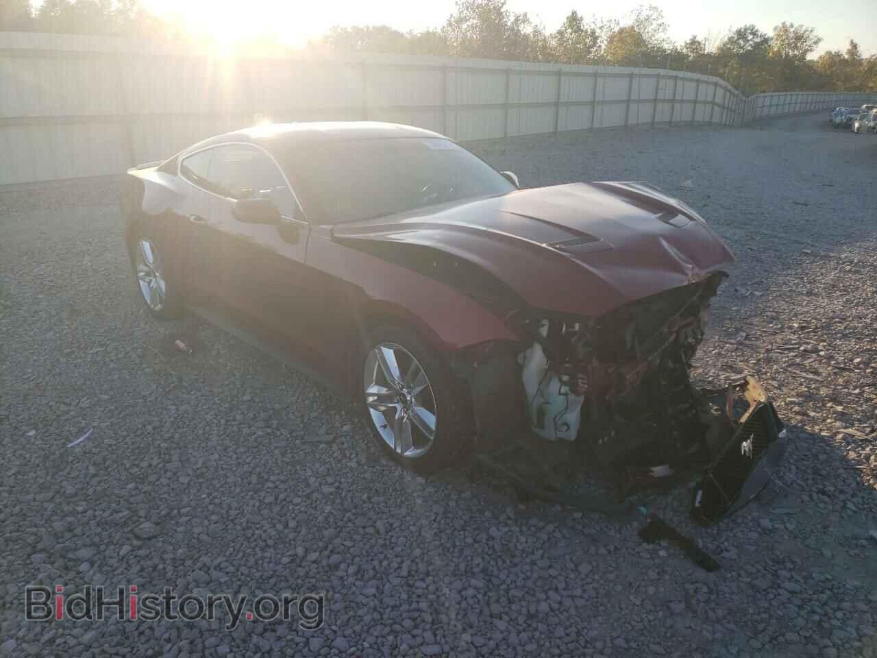 2020 FORD ALL Models - VIN: 1FA6P8TH1L5129237 - Фото 4