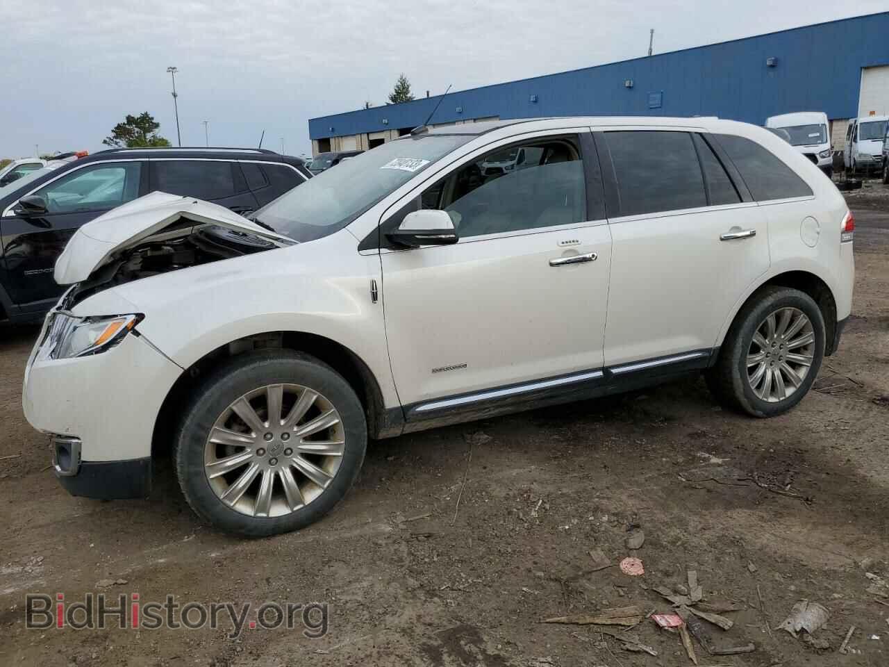 Фотография 2LMDJ8JK5EBL06050 - LINCOLN MKX 2014