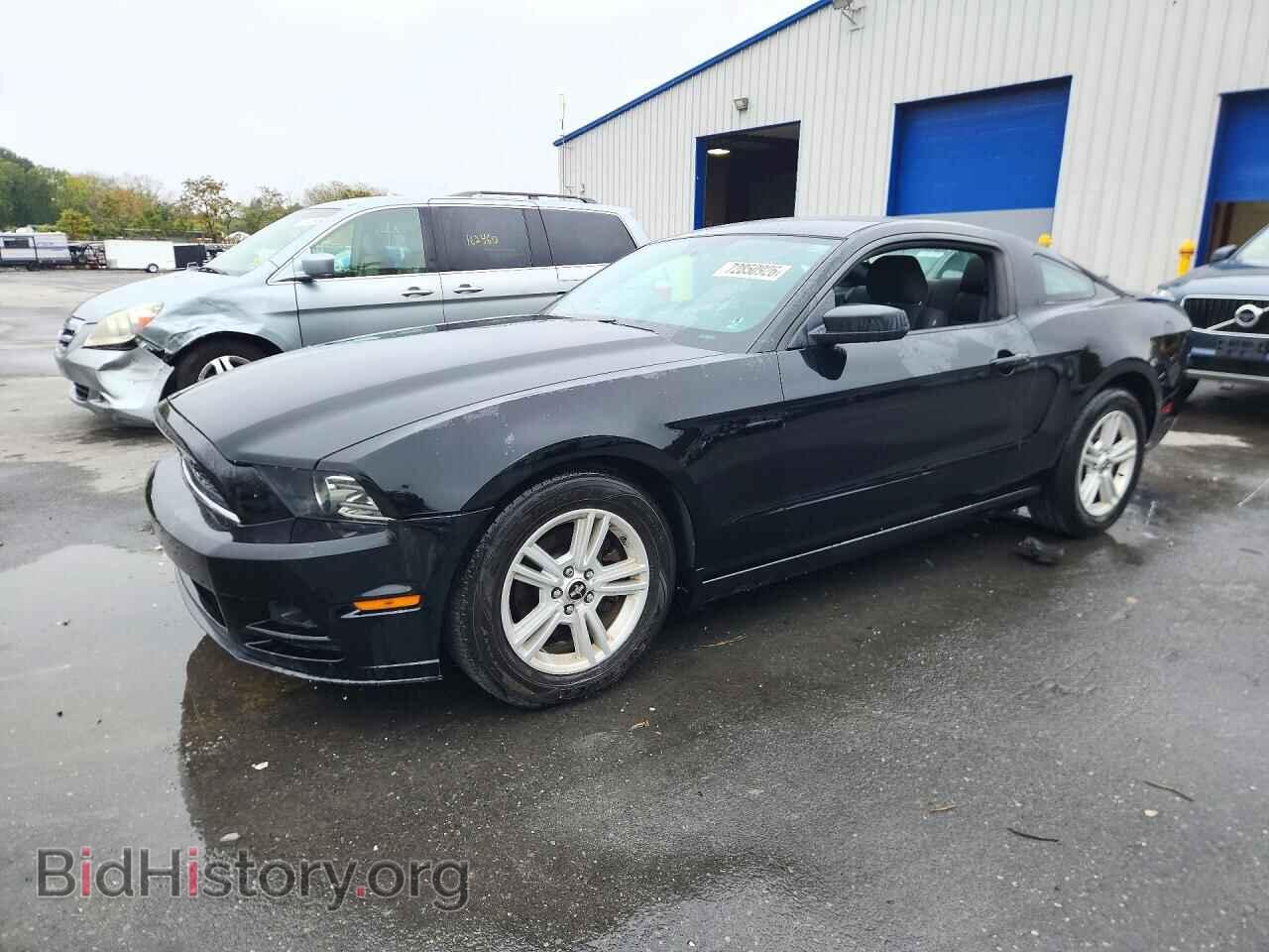 Фотография 1ZVBP8AM1E5290065 - FORD MUSTANG 2014