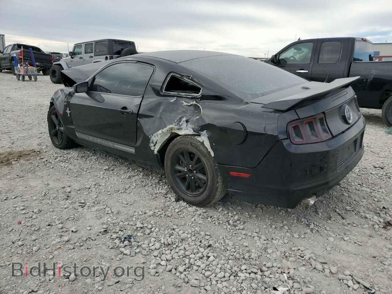 2014 FORD MUSTANG - VIN: 1ZVBP8AM4E5235674 - Фото 2