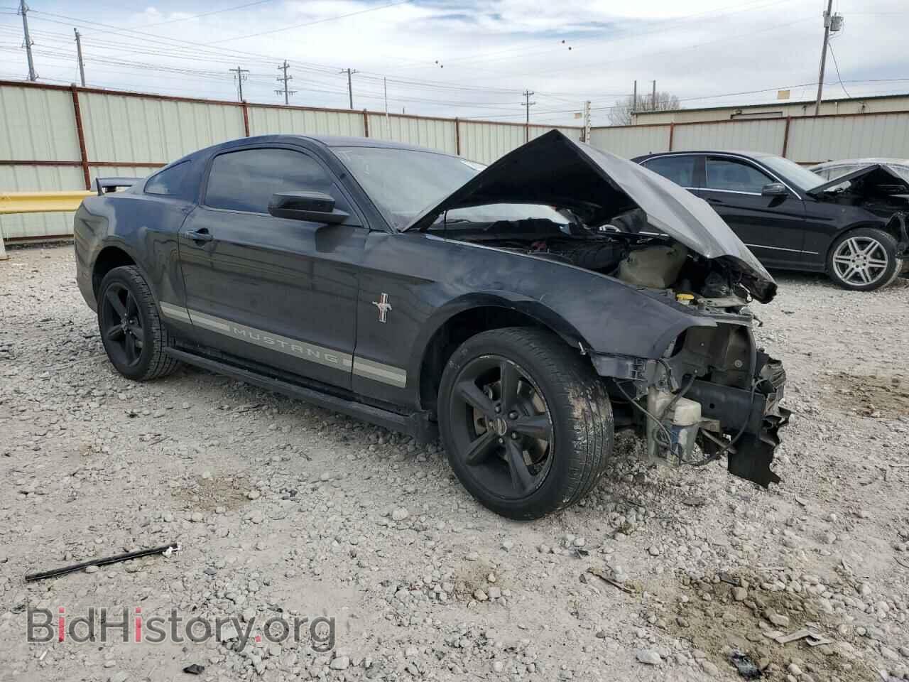2014 FORD MUSTANG - VIN: 1ZVBP8AM4E5235674 - Фото 4