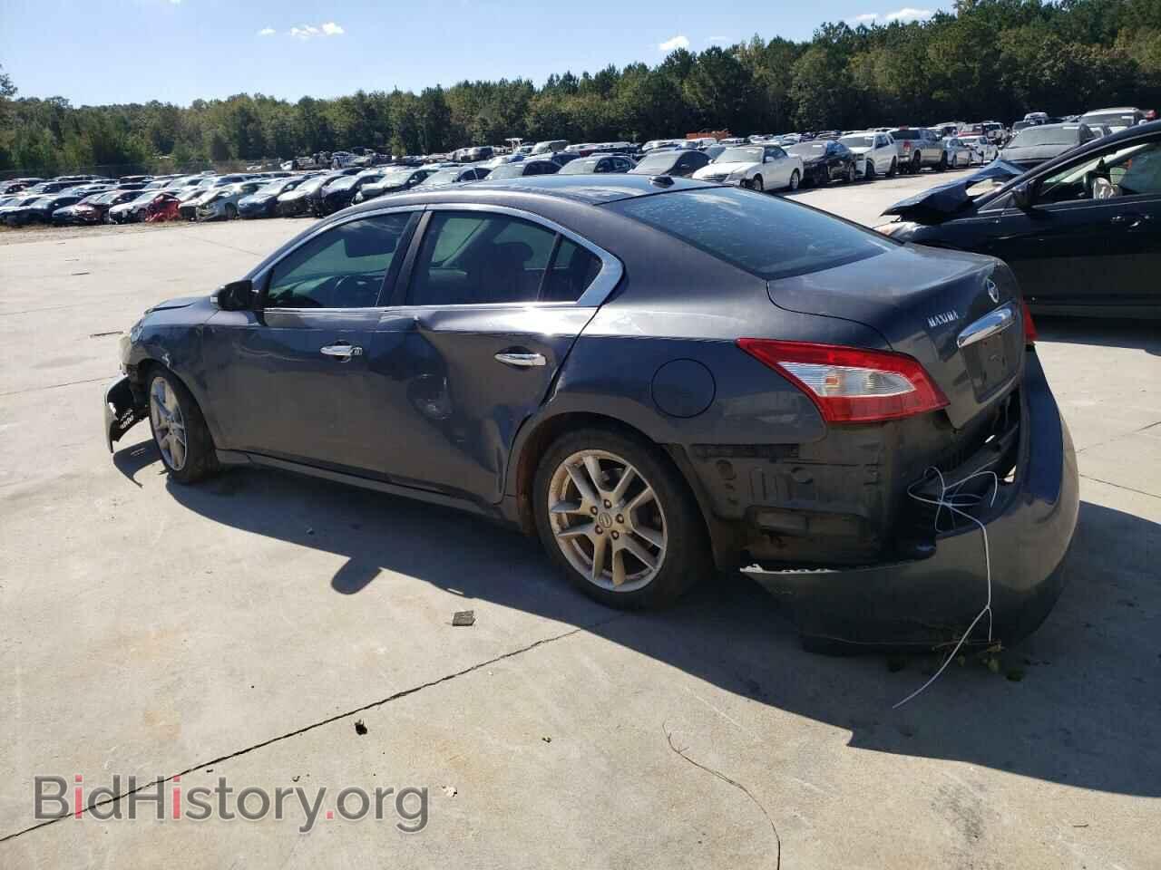 2009 NISSAN MAXIMA - VIN: 1N4AA51E39C817781 - Фото 2
