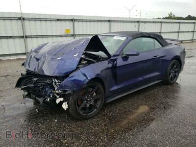 2019 Ford ALL MODELS, blue — VIN 1FATP8UH7K5189152, Copart