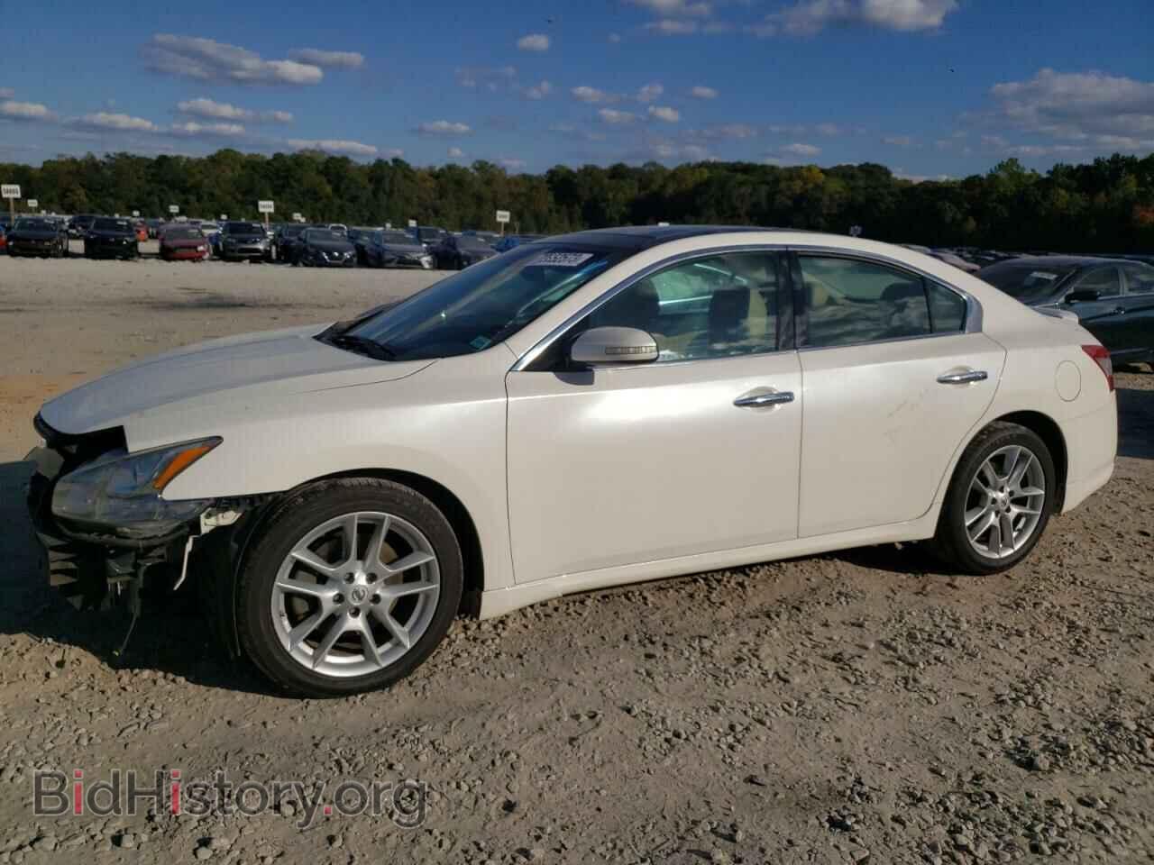 Photo 1N4AA5AP1BC804129 - NISSAN MAXIMA 2011