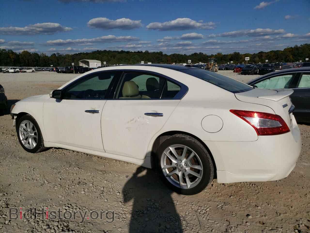 2011 NISSAN MAXIMA - VIN: 1N4AA5AP1BC804129 - Photo 2