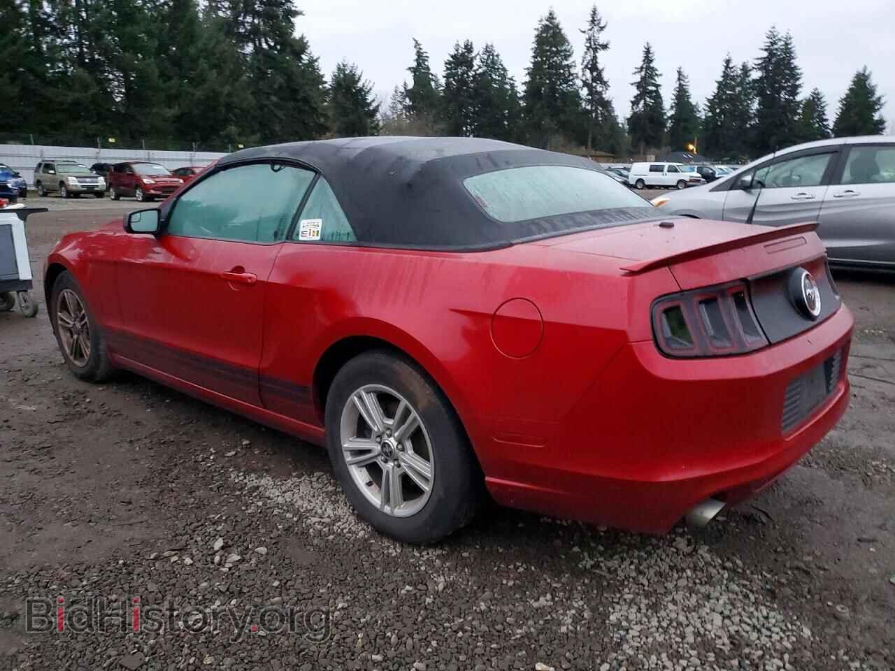 2013 FORD ALL Models - VIN: 1ZVBP8EM5D5204863 - Фото 2