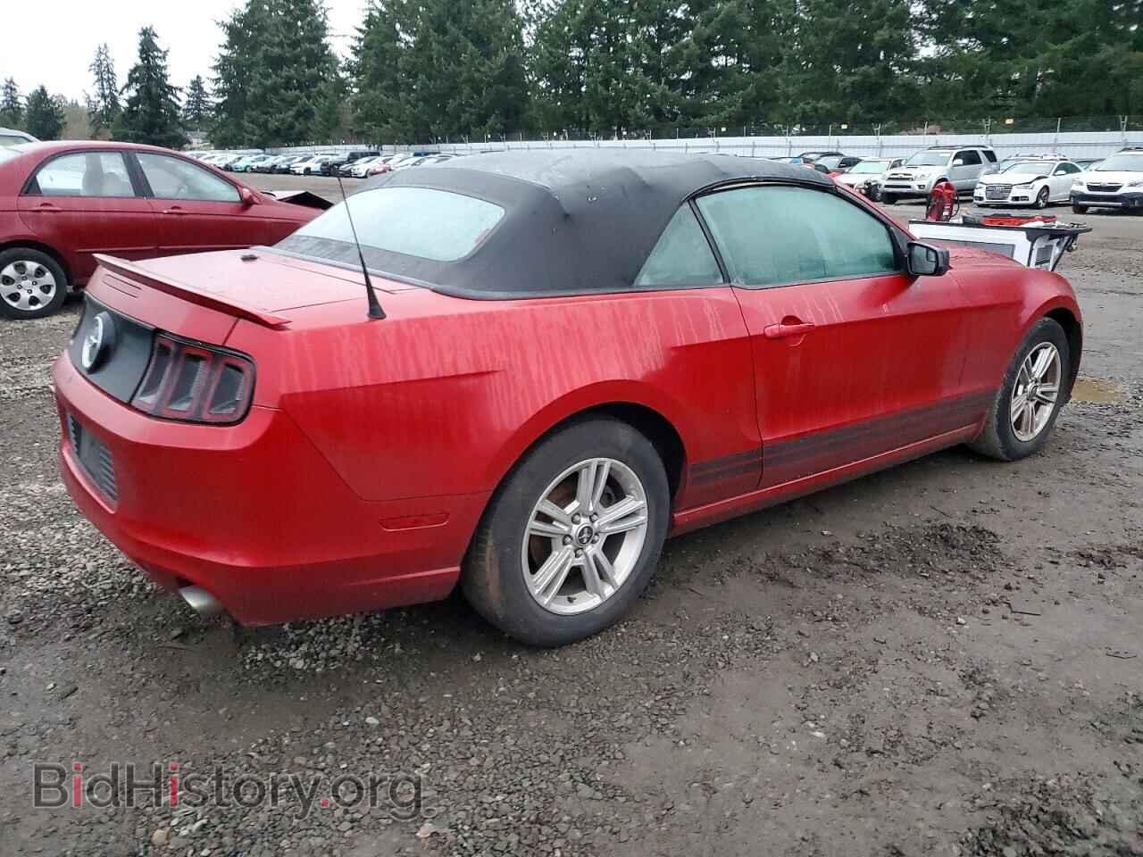 2013 FORD ALL Models - VIN: 1ZVBP8EM5D5204863 - Фото 3
