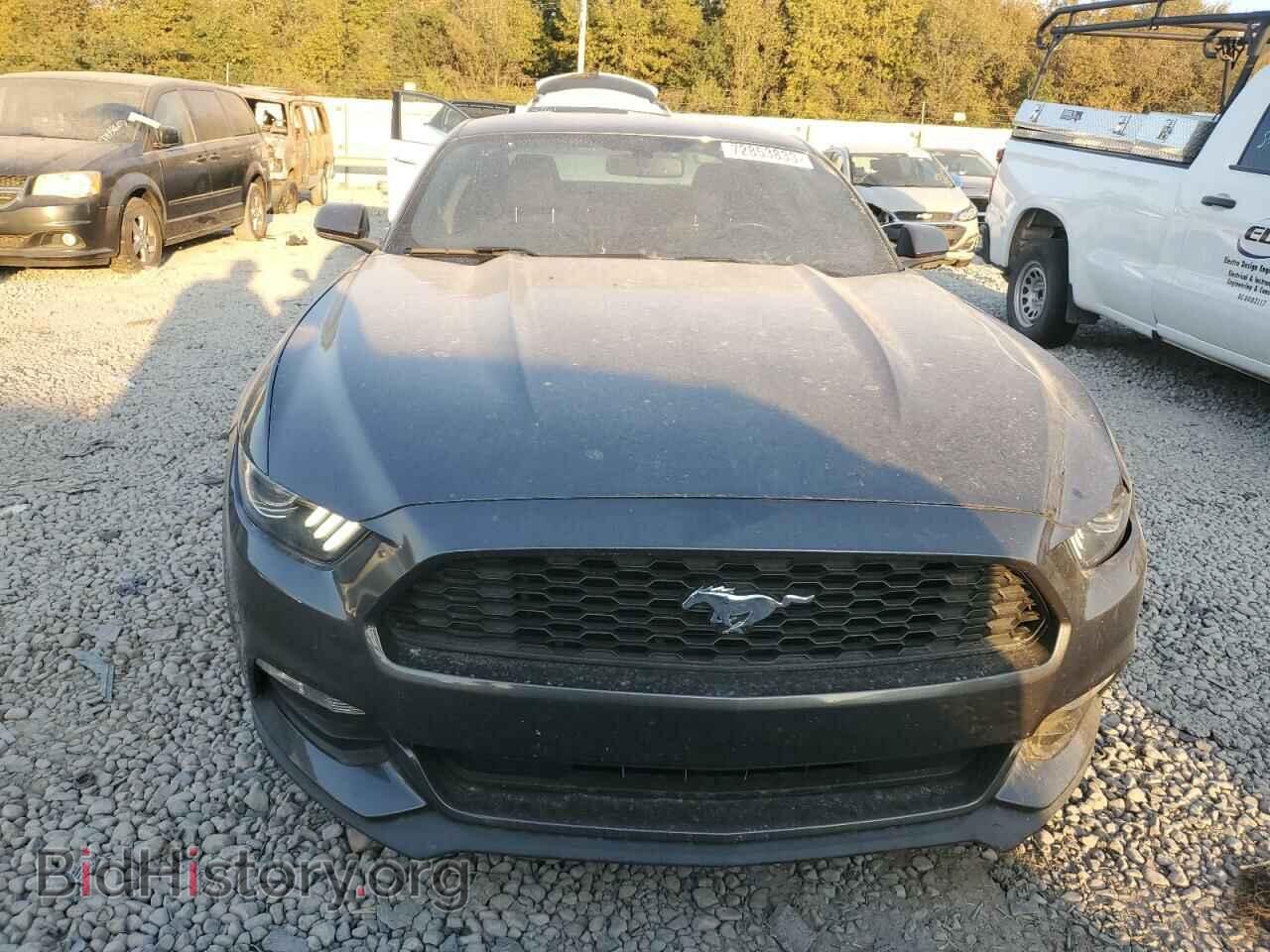 2017 FORD ALL Models - VIN: 1FA6P8AM1H5301287 - Фото 5
