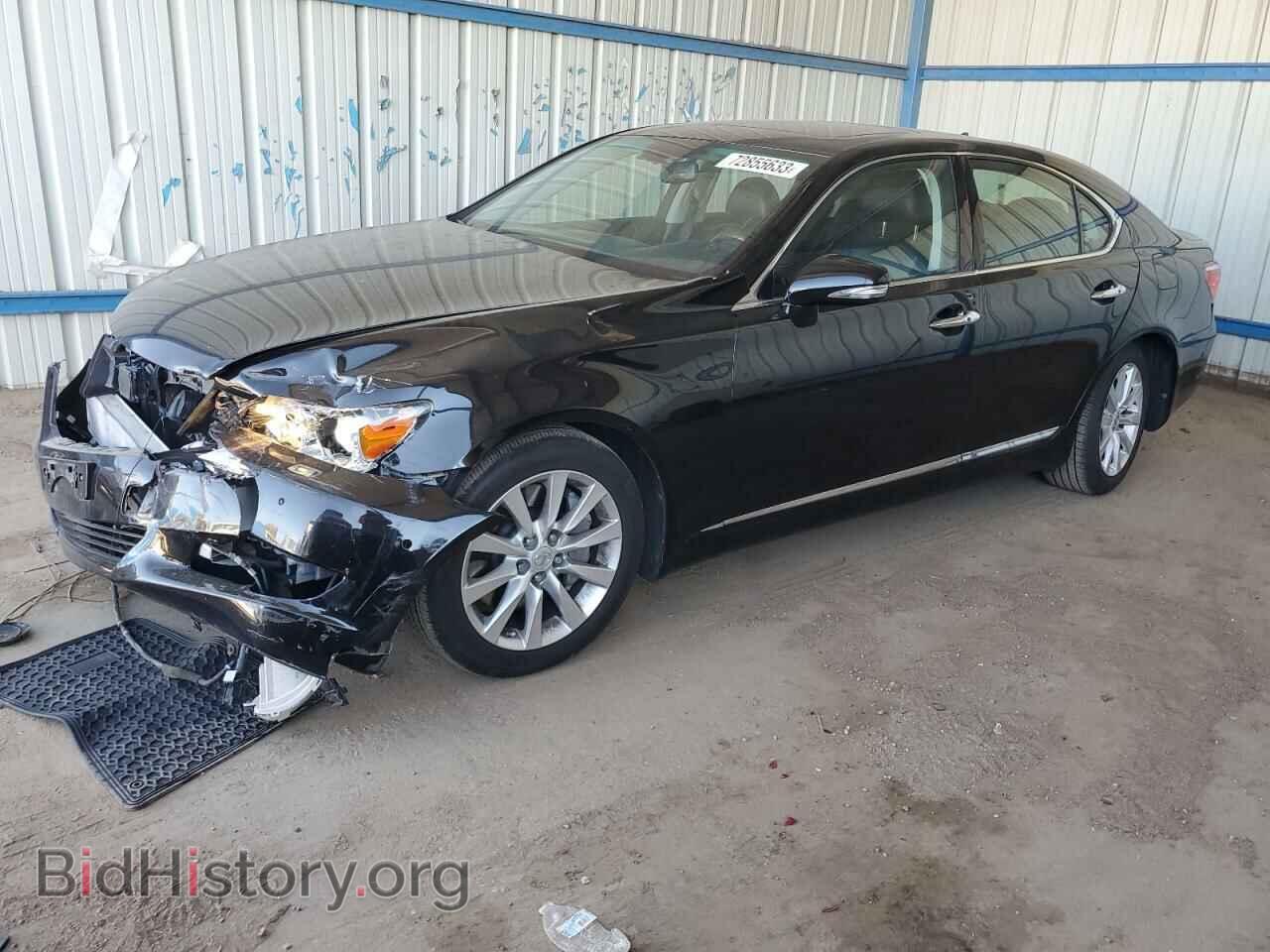 Фотография JTHCL5EFXC5014623 - LEXUS LS460 2012