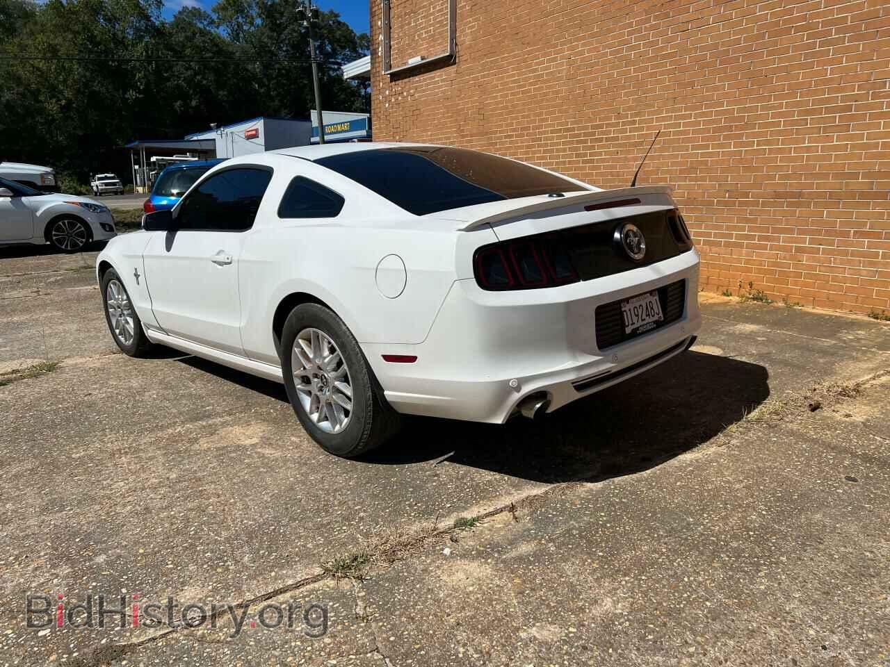 2013 FORD ALL Models - VIN: 1ZVBP8AM8D5256798 - Фото 3