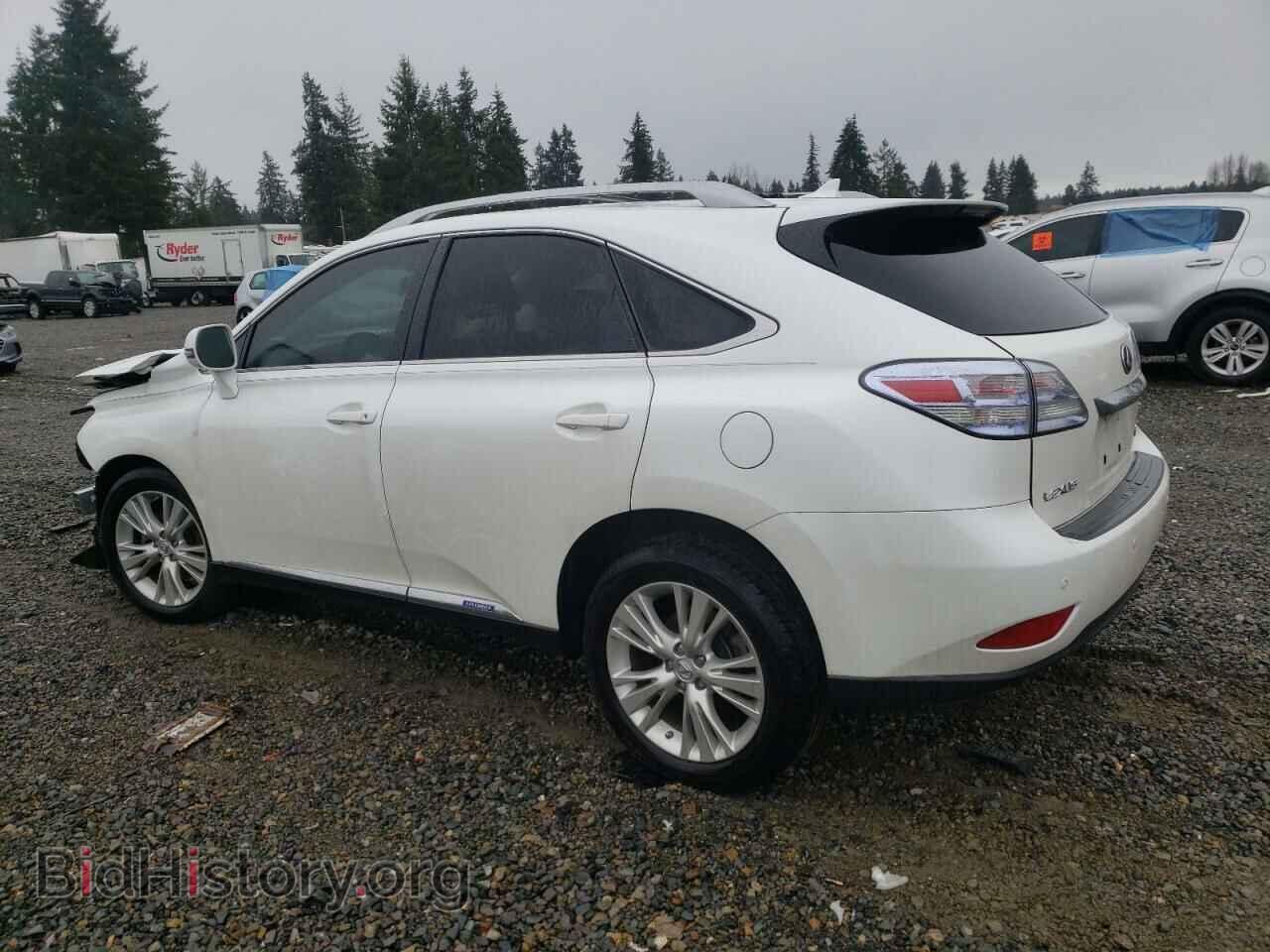 2010 LEXUS RX450 - VIN: JTJBC1BA4A2024719 - Фото 2