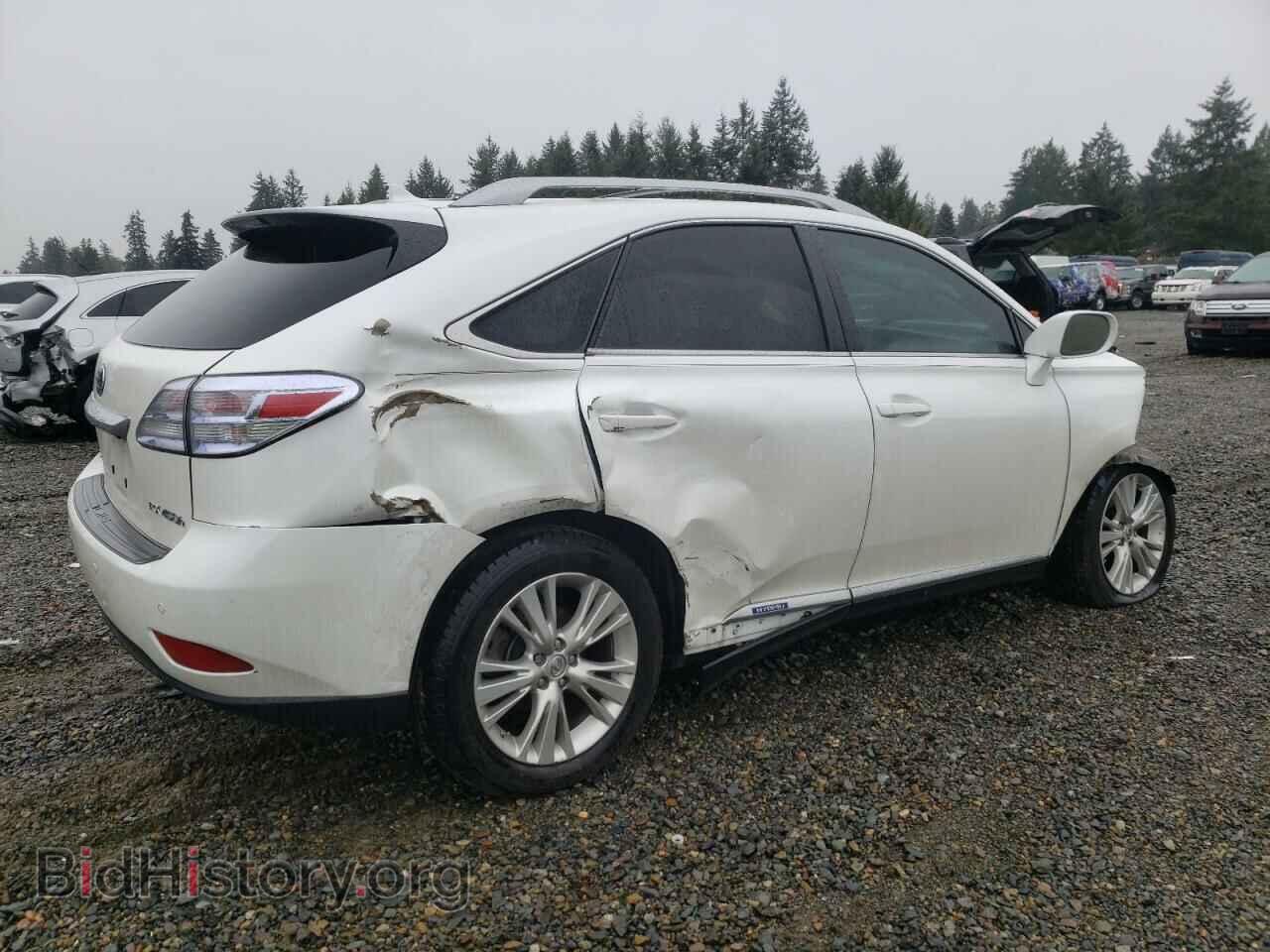 2010 LEXUS RX450 - VIN: JTJBC1BA4A2024719 - Фото 3