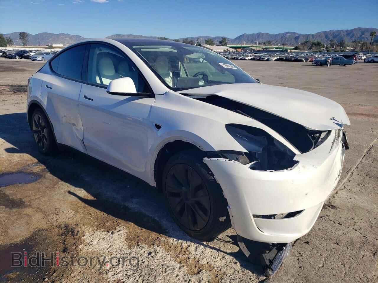 2024 TESLA MODEL Y - VIN: 7SAYGDED8RF120518 - Фото 4
