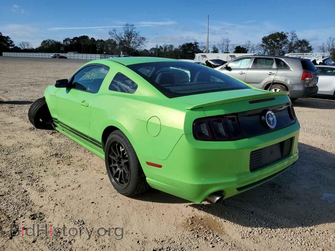 2013 FORD MUSTANG - VIN: 1ZVBP8AM6D5249574 - Фото 2
