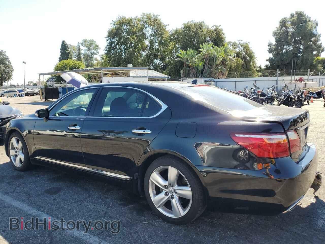 2011 LEXUS LS460 - VIN: JTHGL5EF1B5044514 - Photo 2