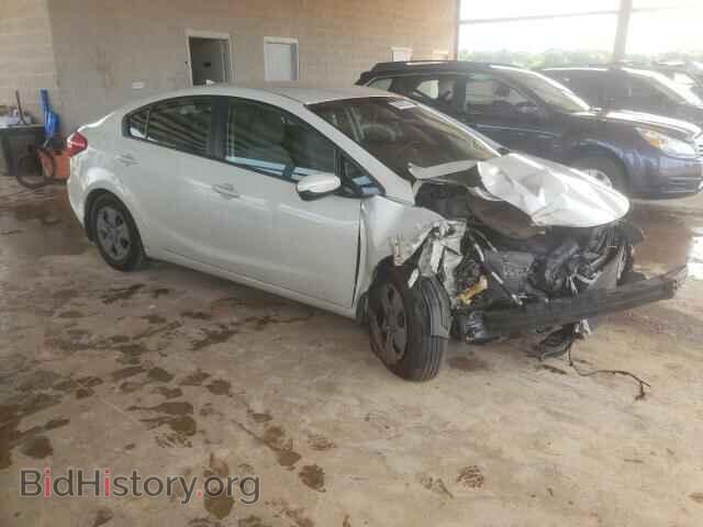 2015 KIA FORTE - VIN: KNAFK4A68F5275784 - Фото 4