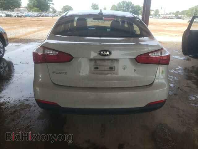 2015 KIA FORTE - VIN: KNAFK4A68F5275784 - Фото 6