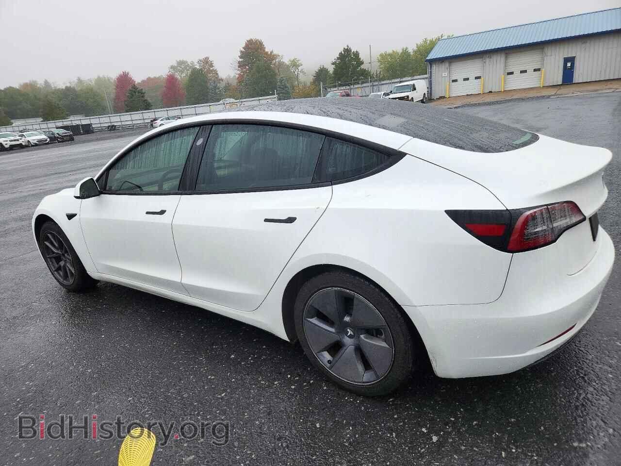 2023 TESLA MODEL 3 - VIN: 5YJ3E1EA4PF565322 - Photo 2