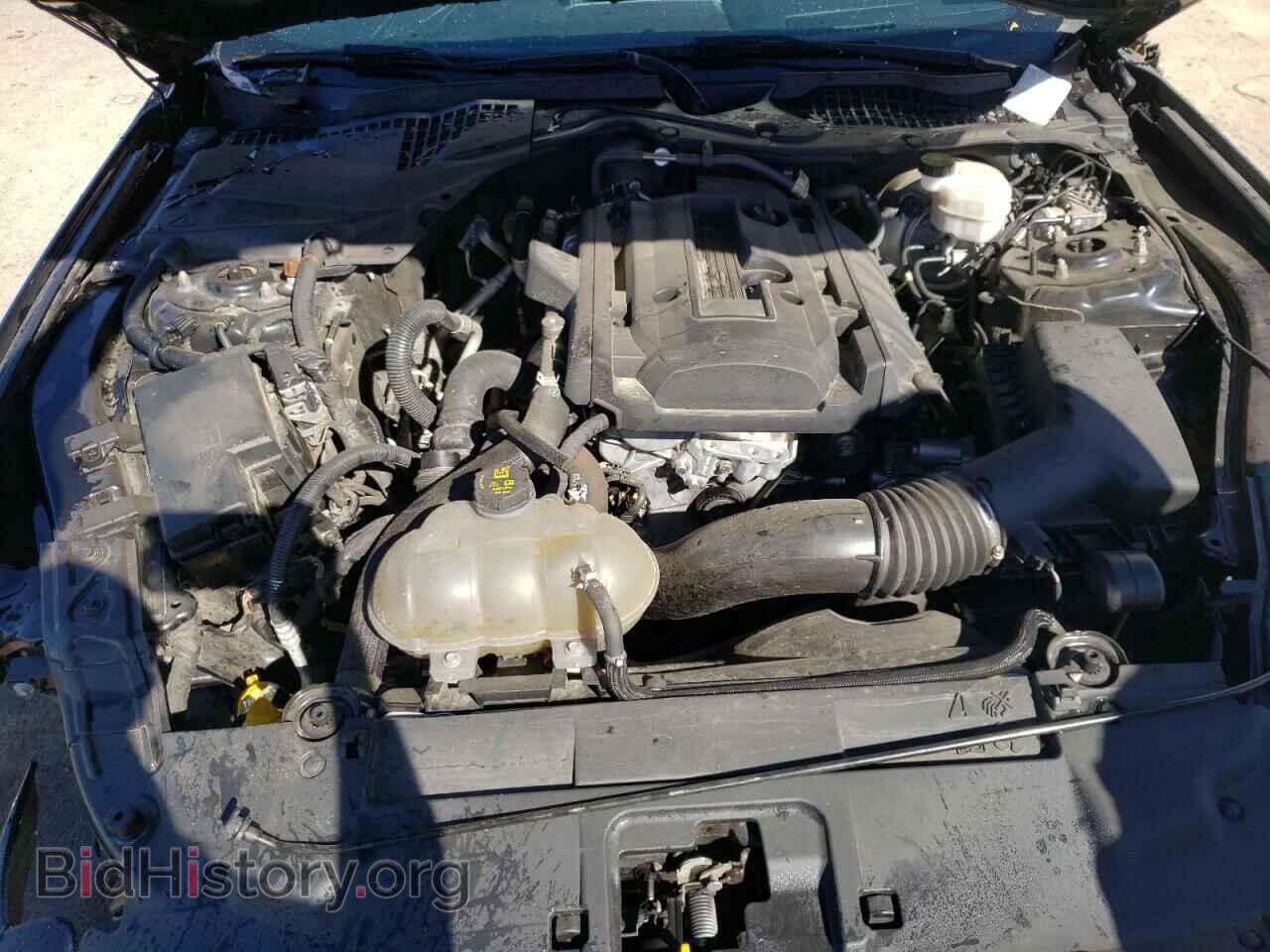 2019 FORD ALL Models - VIN: 1FA6P8TH9K5105590 - Photo 11