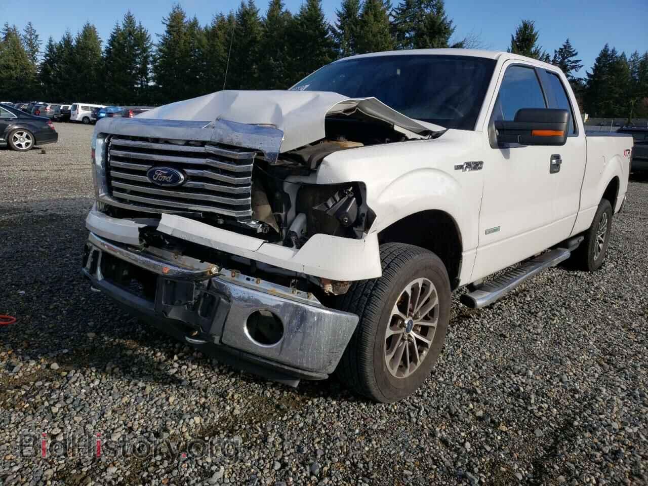 Photo 1FTFX1ET3BFB50246 - FORD F-150 2011
