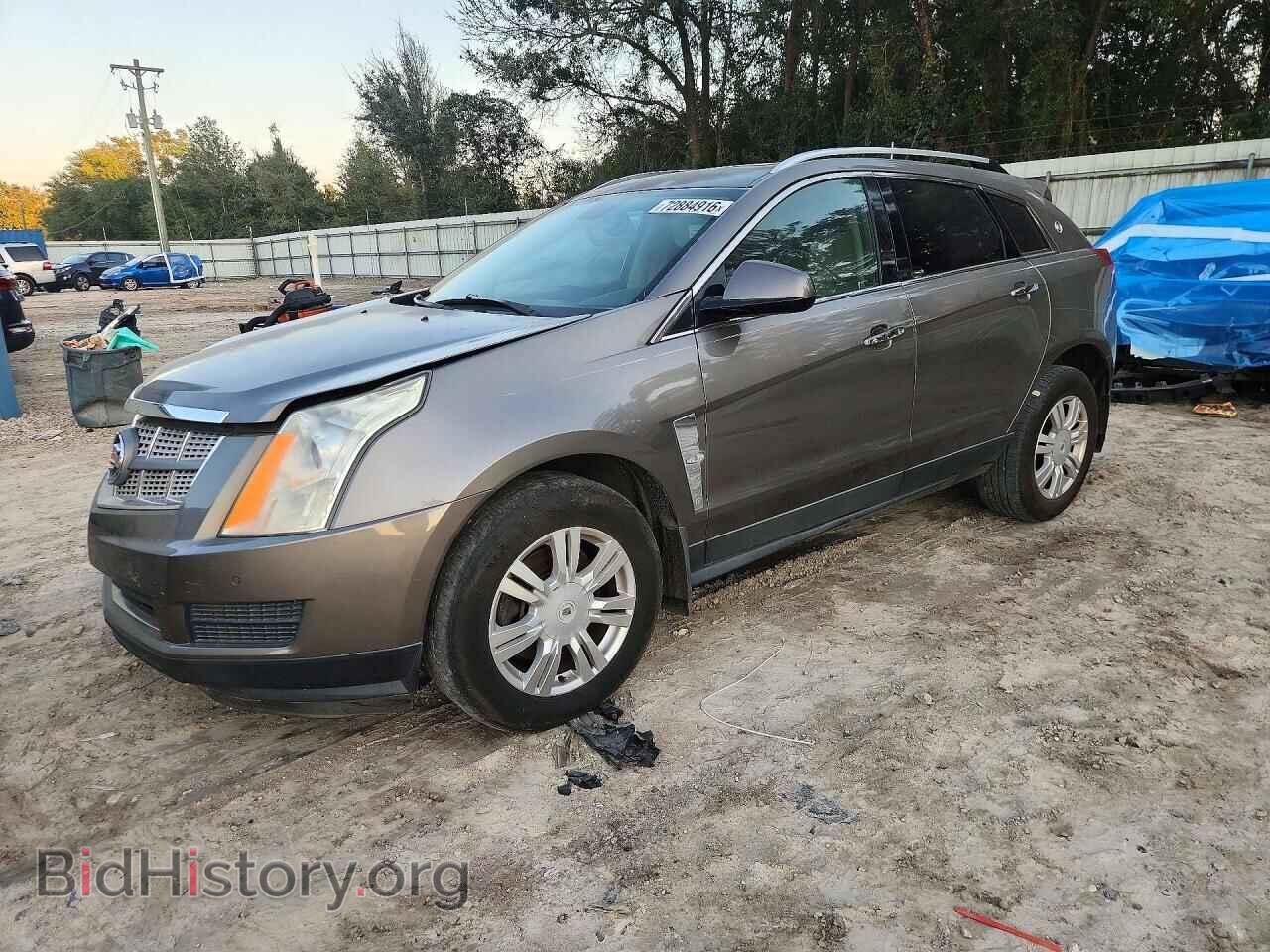 Фотография 3GYFNAEY0BS660769 - CADILLAC SRX 2011