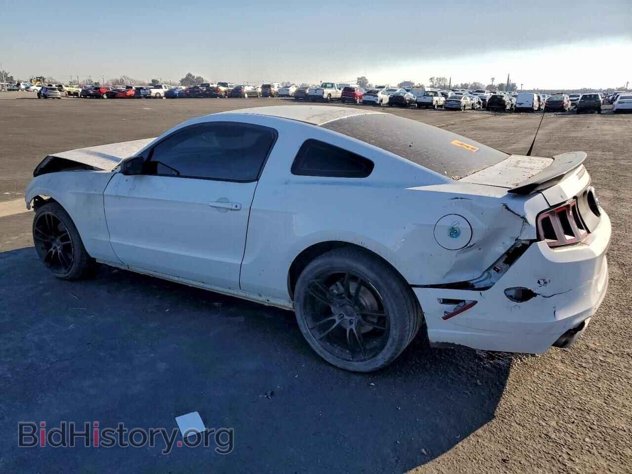 2014 FORD ALL Models - VIN: 1ZVBP8AM3E5281478 - Фото 2
