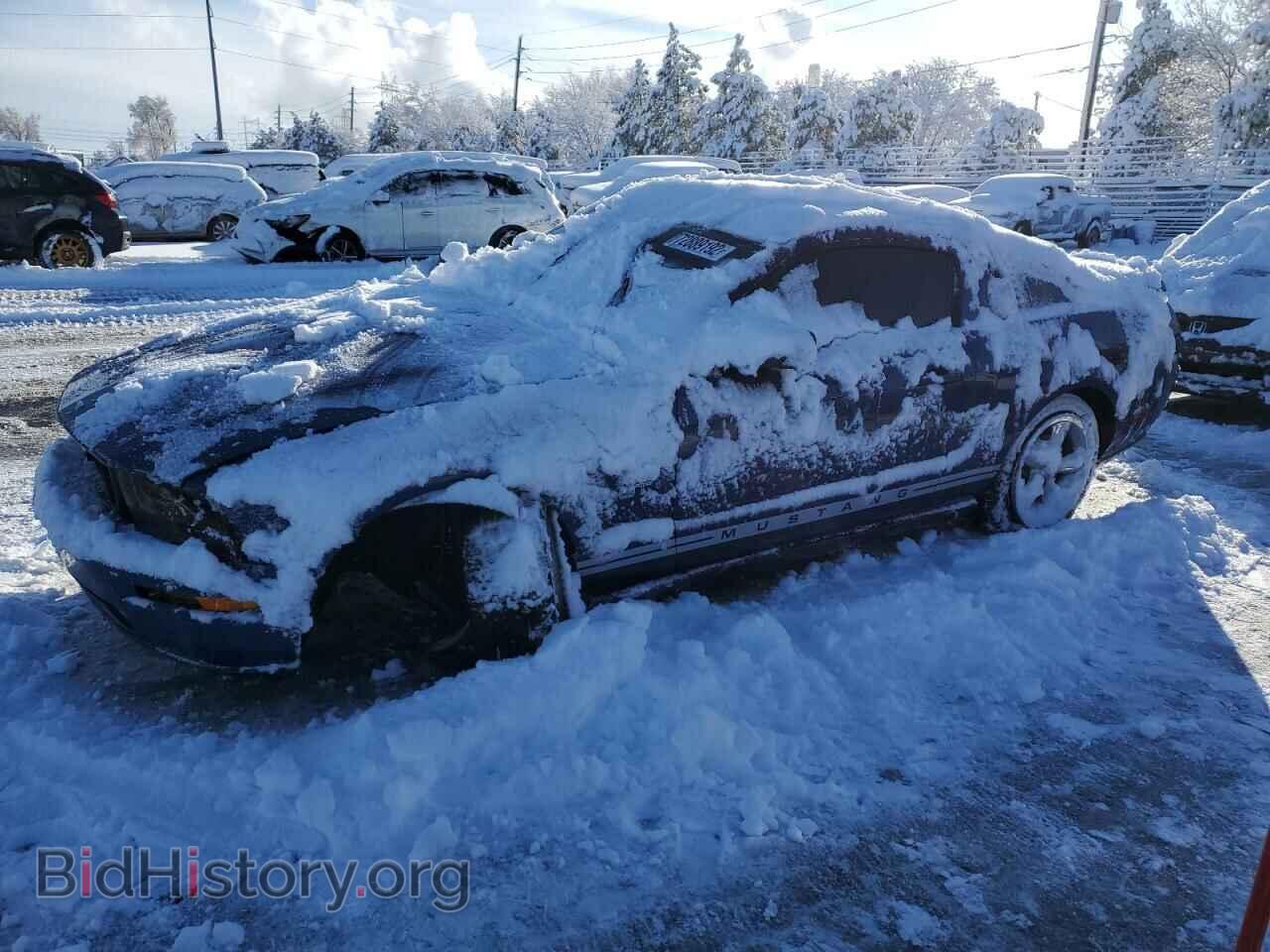 Фотография 1ZVHT82H885108678 - FORD MUSTANG 2008