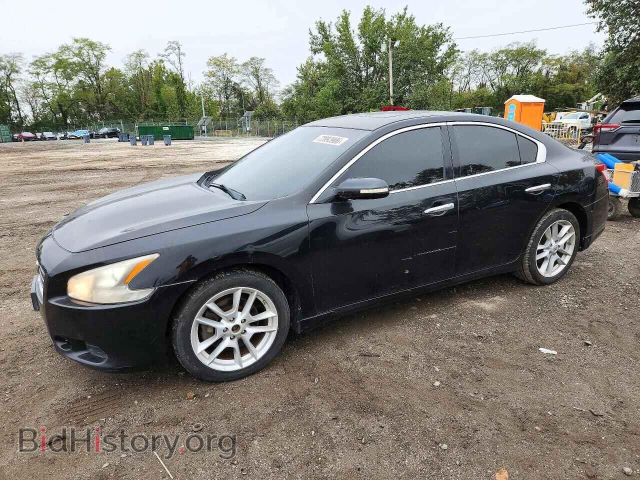 Photo 1N4AA5AP3BC807422 - NISSAN MAXIMA 2011