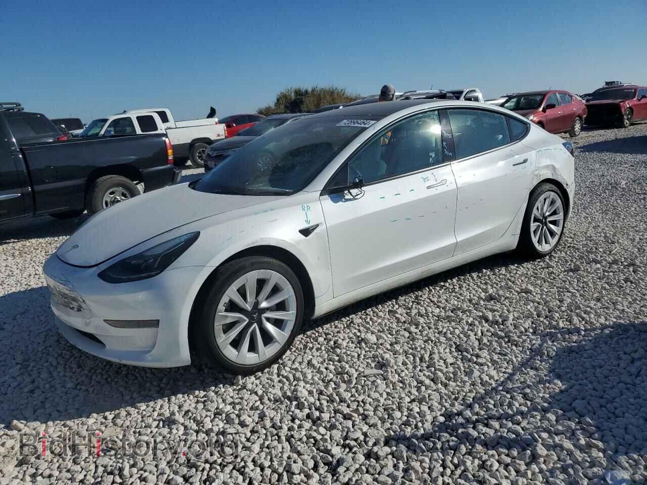 Photo 5YJ3E1EA3PF398774 - TESLA MODEL 3 2023