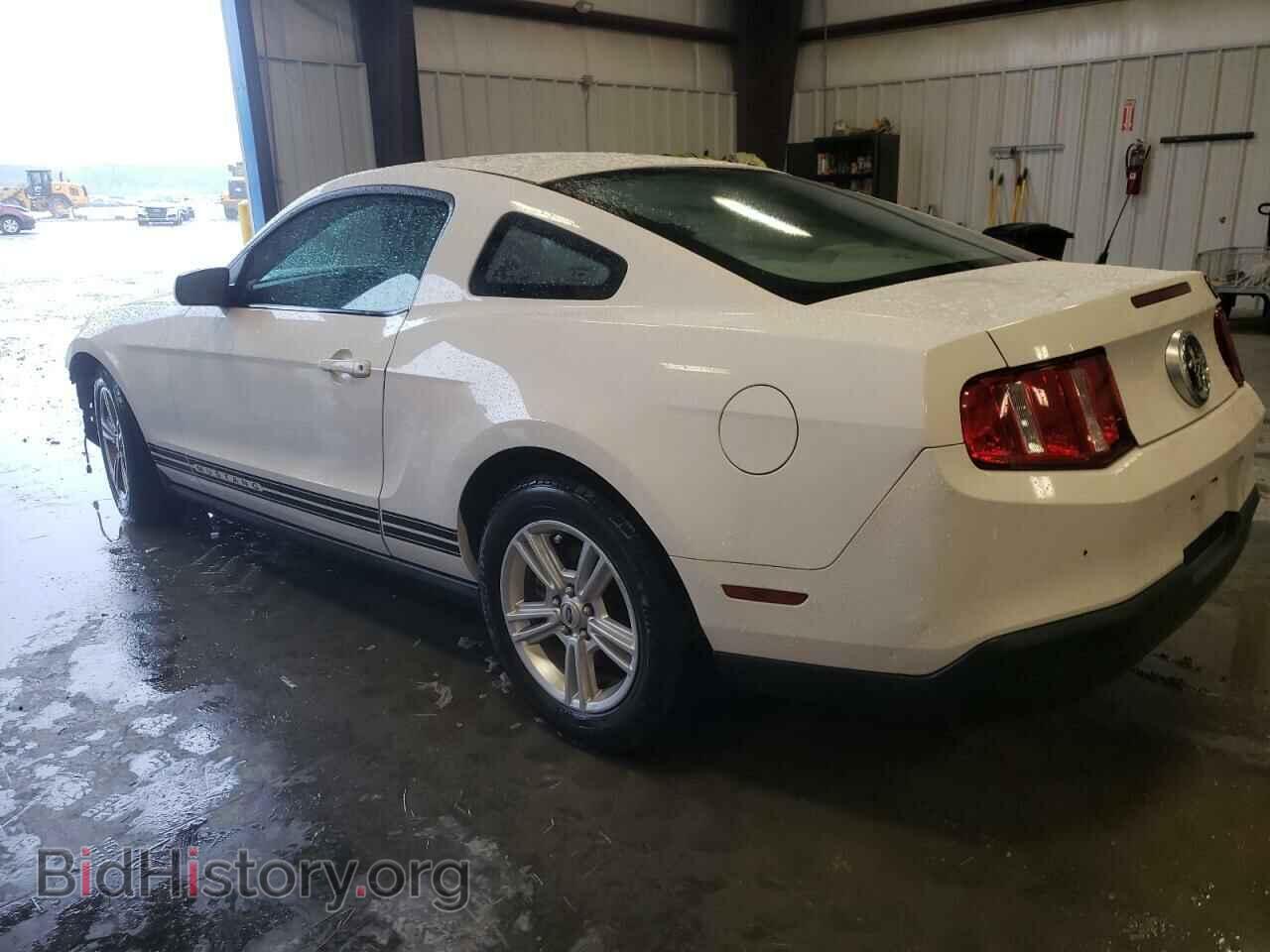2010 FORD ALL Models - VIN: 1ZVBP8AN3A5115058 - Фото 2