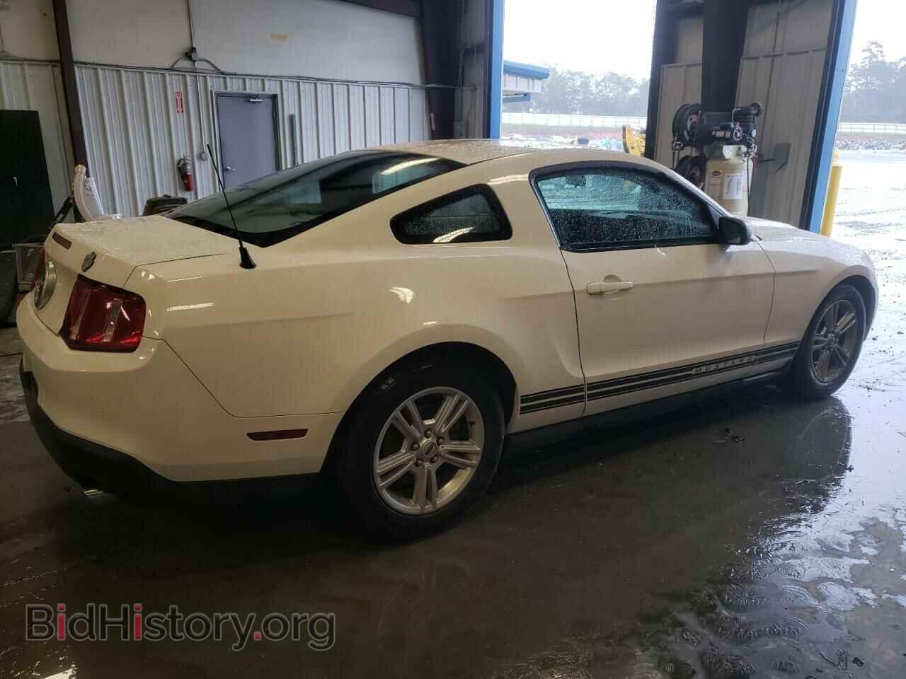 2010 FORD ALL Models - VIN: 1ZVBP8AN3A5115058 - Фото 3