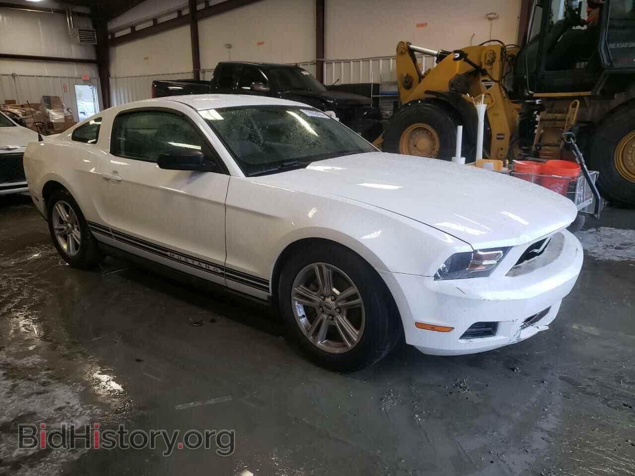 2010 FORD ALL Models - VIN: 1ZVBP8AN3A5115058 - Фото 4