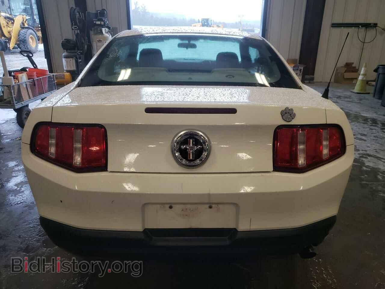 2010 FORD ALL Models - VIN: 1ZVBP8AN3A5115058 - Фото 6