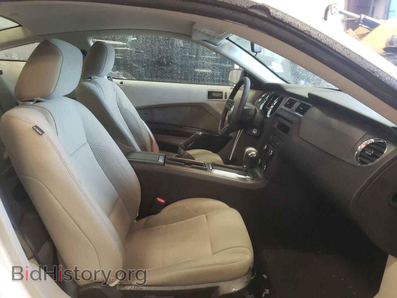 2010 FORD ALL Models - VIN: 1ZVBP8AN3A5115058 - Фото 10