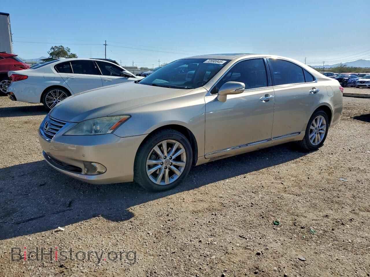 Фотография JTHBK1EG5C2480543 - LEXUS ES350 2012
