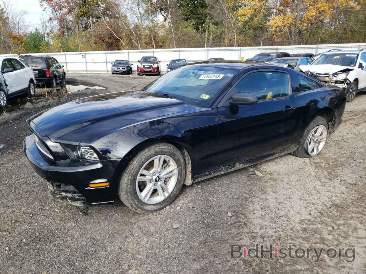 Photo 1ZVBP8AM8E5272808 - FORD MUSTANG 2014