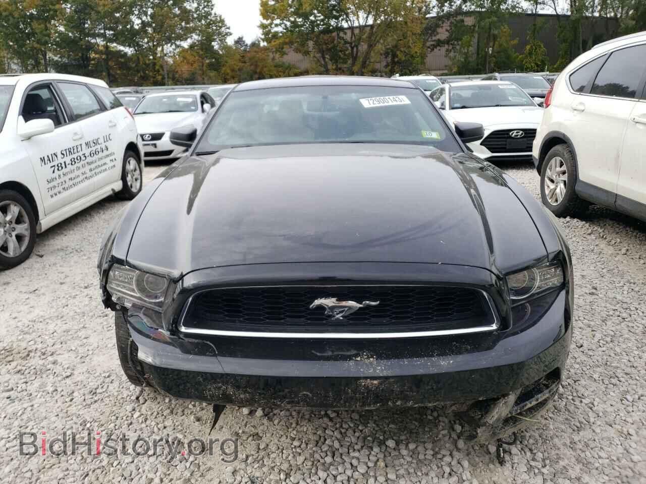 2014 FORD MUSTANG - VIN: 1ZVBP8AM8E5272808 - Фото 5