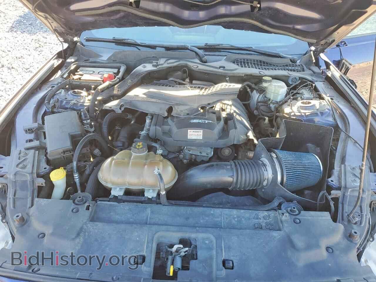 2019 FORD ALL Models - VIN: 1FA6P8TH2K5117516 - Photo 11