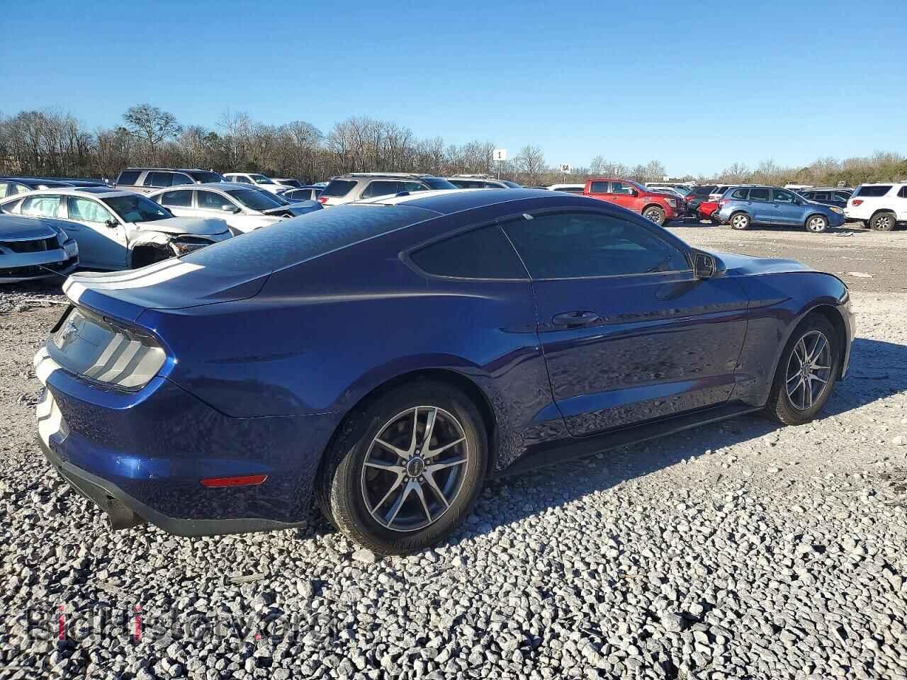 2019 FORD ALL Models - VIN: 1FA6P8TH2K5117516 - Photo 3