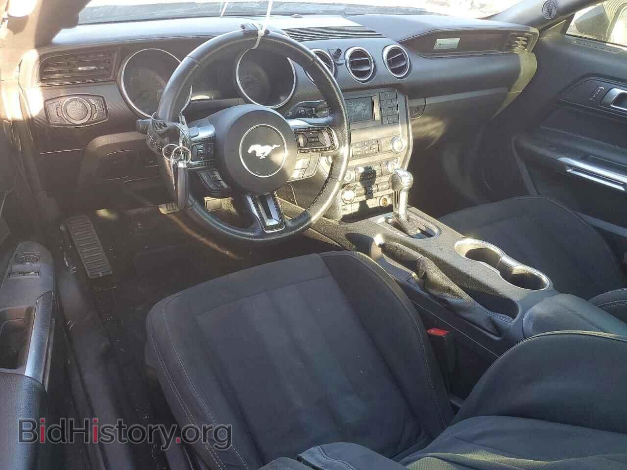 2019 FORD ALL Models - VIN: 1FA6P8TH2K5117516 - Photo 8