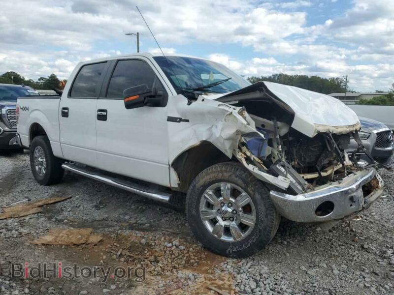 2010 Ford F-150 (VIN 1FTFW1EV5AFC94948) — фото 4 из 12