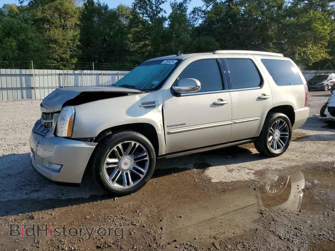 Фотография 1GYS4CEF5DR264063 - CADILLAC ESCALADE 2013