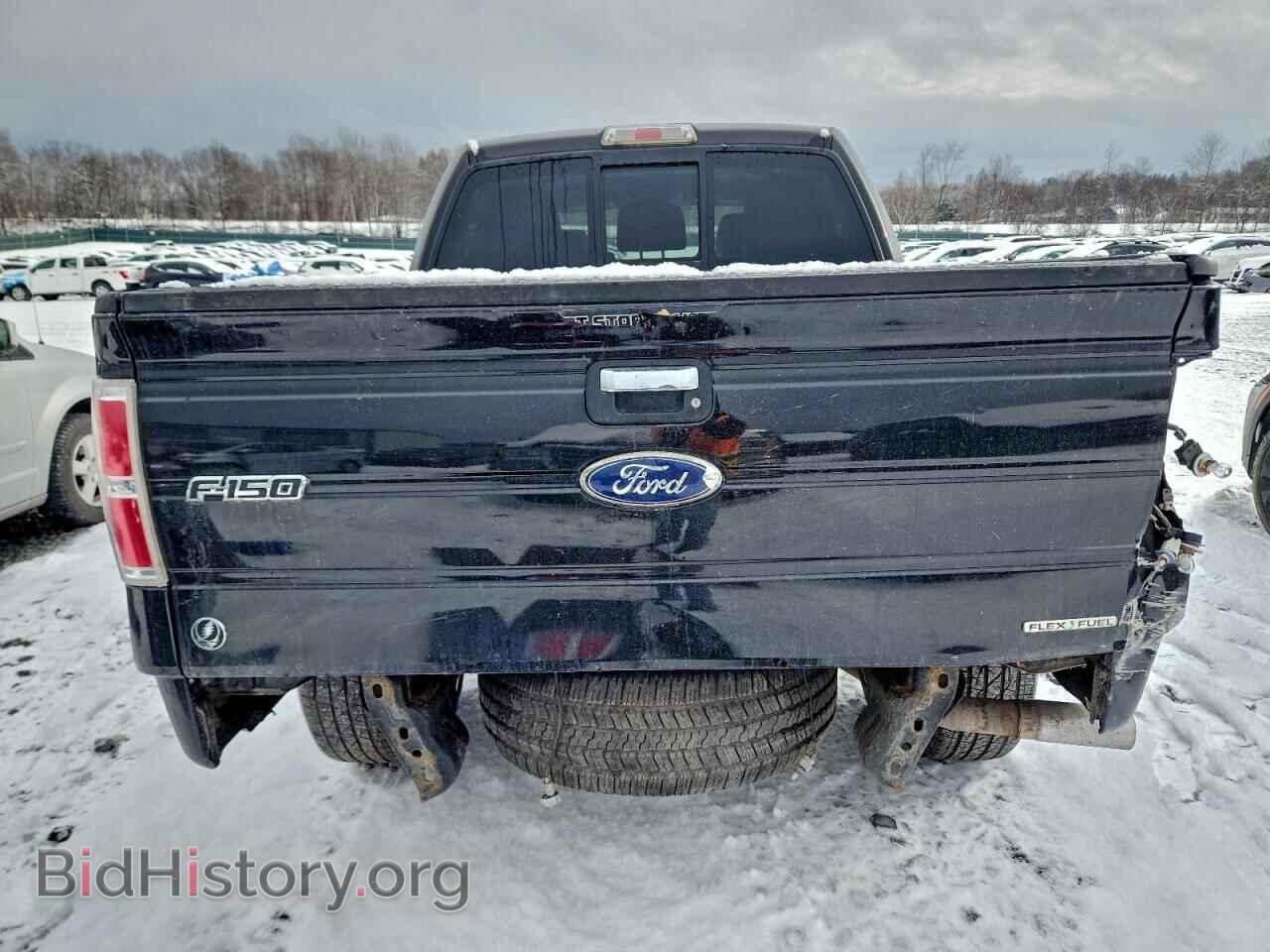 2011 FORD F-150 - VIN: 1FTFW1EF6BFA82375 - Фото 6