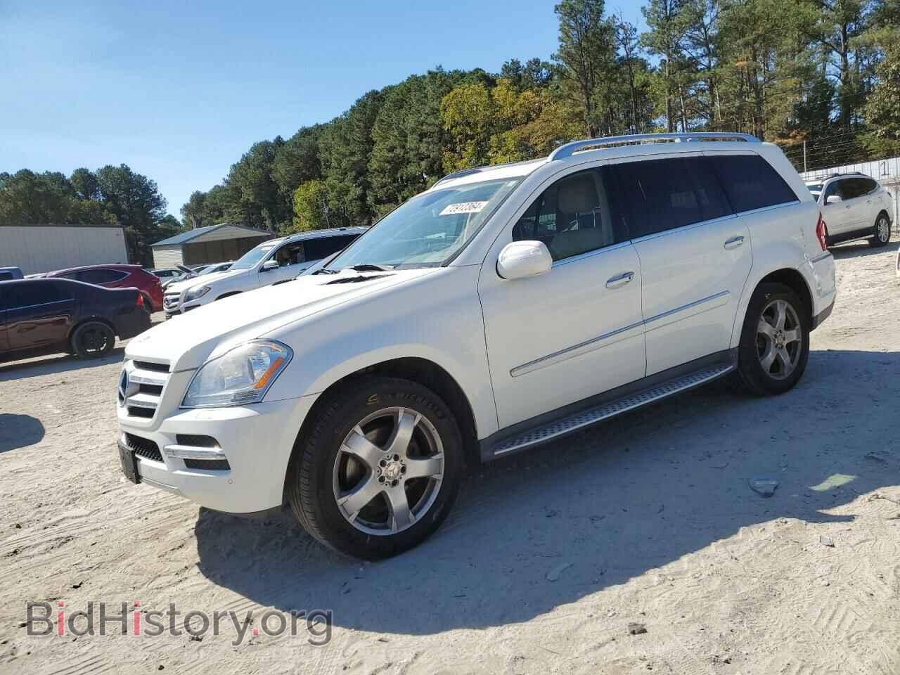Фотография 4JGBF7BB0AA533133 - MERCEDES-BENZ GL-CLASS 2010