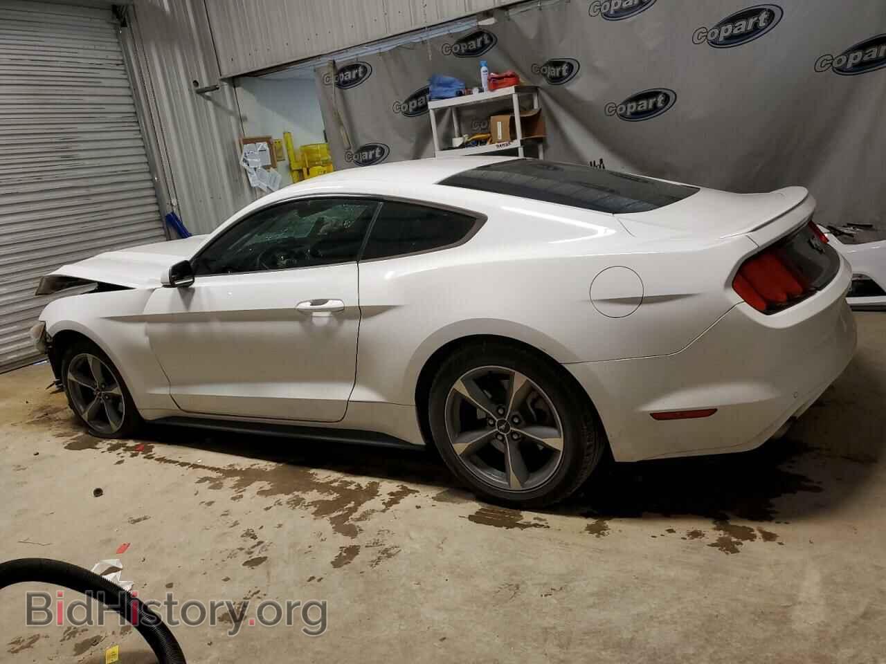2017 FORD MUSTANG - VIN: 1FA6P8TH3H5228195 - Фото 2