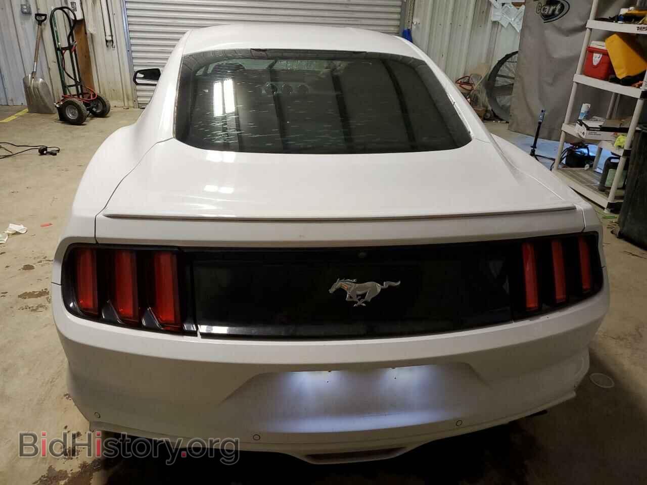 2017 FORD MUSTANG - VIN: 1FA6P8TH3H5228195 - Фото 6